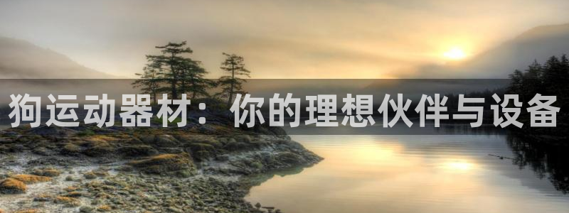 凯捷体育联系电话:狗运动器材:你的理想伙伴与设备