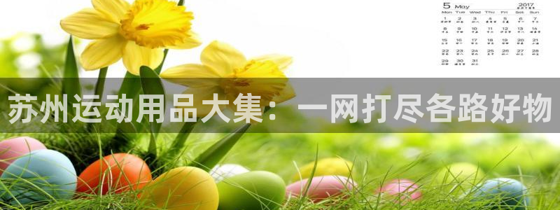 凯捷体育娱乐首页官网下载:苏州运动用品大集:一网打尽各路好物