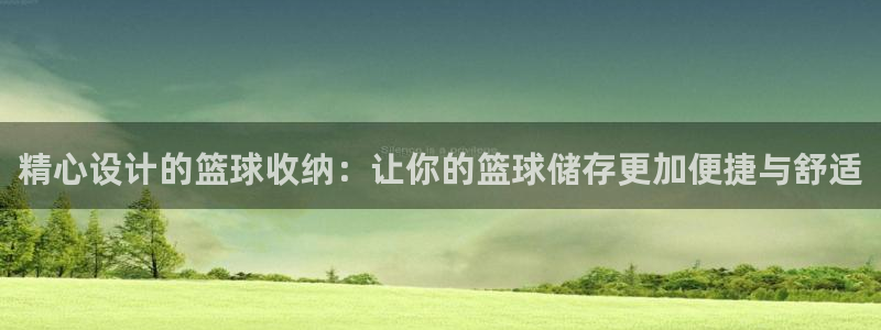 海南凯捷体育发展怎么样:精心设计的篮球收纳:让你的篮球储存更