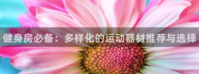 凯捷体育平台注册要钱吗安全吗:健身房必备:多样化的运动器材推