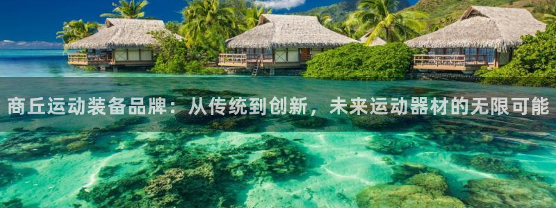 凯捷体育新能源:商丘运动装备品牌:从传统到创新,未来运动器材