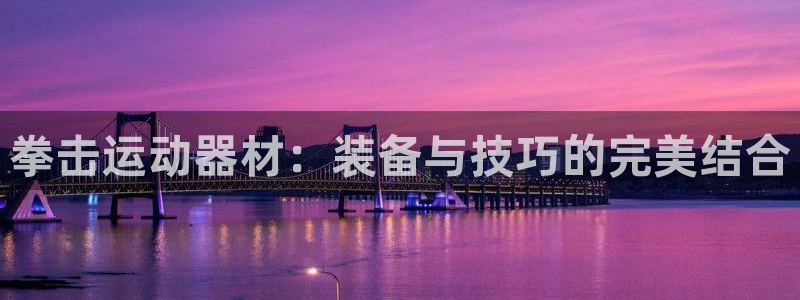 凯捷体育集团logo:拳击运动器材:装备与技巧的完美结合