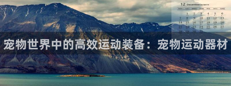 凯捷体育平台是正规平台吗:宠物世界中的高效运动装备:宠物运动
